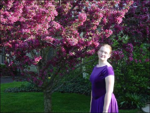 Spring Flowers - Before Liz's Ballet portarit