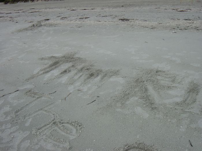 Message on the Beach