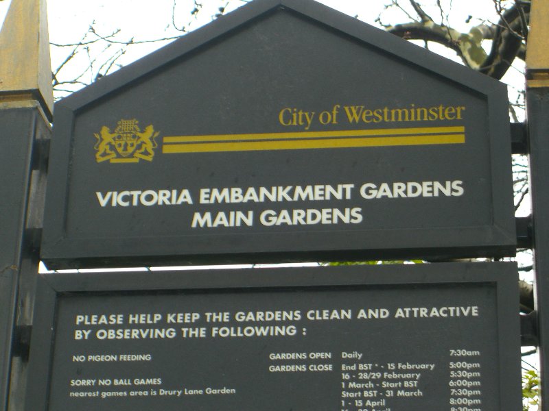 CIMG1705.jpg - Victoria Embankment Gardens