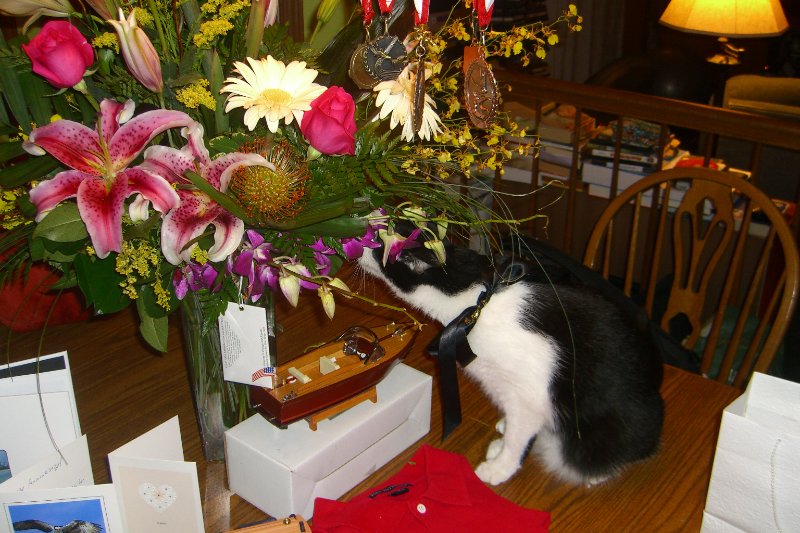 CIMG8433.JPG - Anniversary Flowers and Kitty