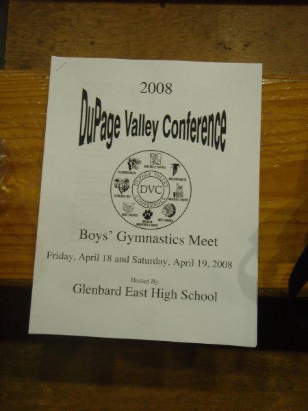P4190120.JPG - Dupage Valley Gymnastics Conference Final Meet, Glenbard East High School, 4/19/08