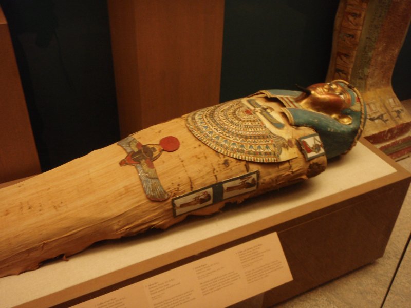 P2160019.JPG - Coffin and Mummy of Iru-Rutja. Ptolemaic Period.  Said to be from Akhinlni.