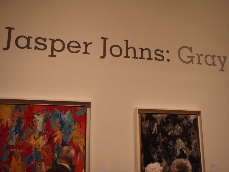P2160152.JPG - Jasper Johns: Gray exhibit