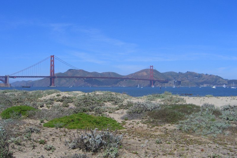 CIMG6447.JPG - Golden Gate Bridge view from Marina Dr near the tidal marsh