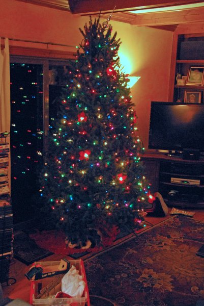 DSC_1891_edited-1.jpg - Decorating the Christmas Tree