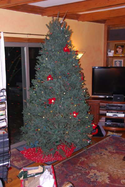 DSC_1892.JPG - Decorating the Christmas Tree