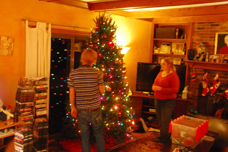 DSC_1896.JPG - Decorating the Christmas Tree