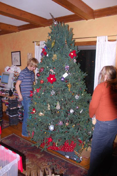 DSC_1907.JPG - Decorating the Christmas Tree