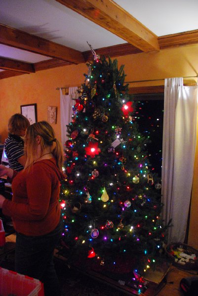 DSC_1910.JPG - Decorating the Christmas Tree