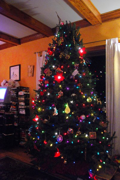 DSC_1919_edited-1.jpg - Decorating the Christmas Tree