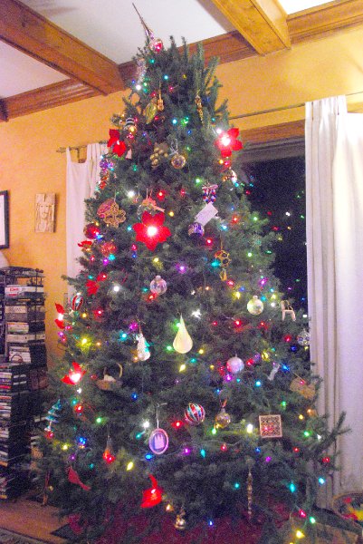 DSC_1927_edited-1.jpg - Decorating the Christmas Tree