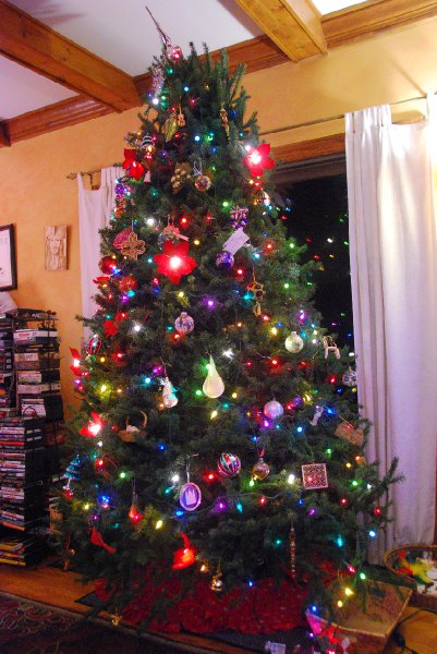 DSC_1928.JPG - Decorating the Christmas Tree