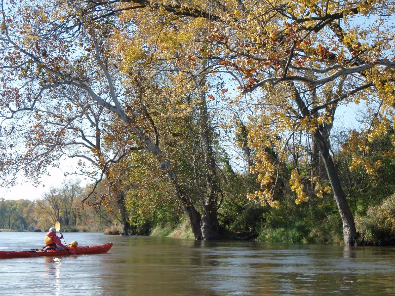 PA240042.jpg - Fox River Kayaking from Sheridan to Wedron
