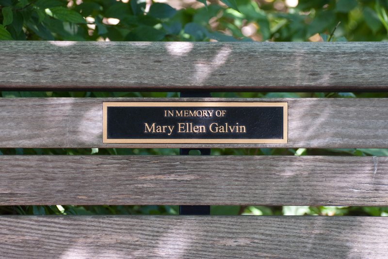 BrookfieldZoo062809-7588.jpg - In Memory of Mary Ellen Galvin
