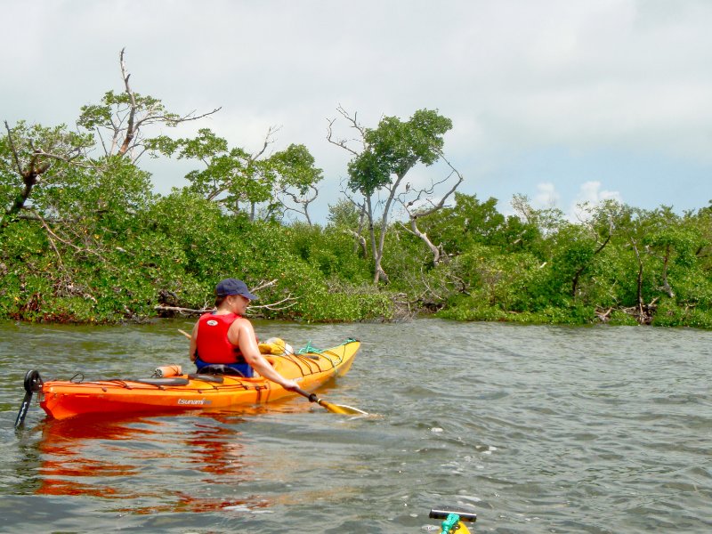 Captiva052409-5250007.jpg - Kayaking Pine Island Sound to Chadwick's Bayou