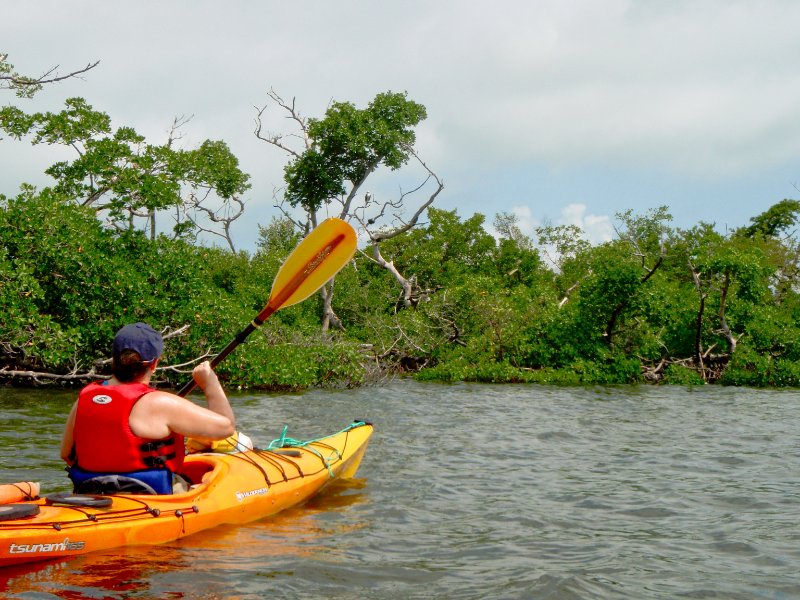 Captiva052409-5250008.jpg - Kayaking Pine Island Sound to Chadwick's Bayou