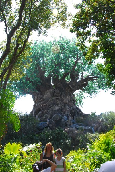 DisneyWorld022709-3147.jpg - Animal Kingdom - The Tree of Life