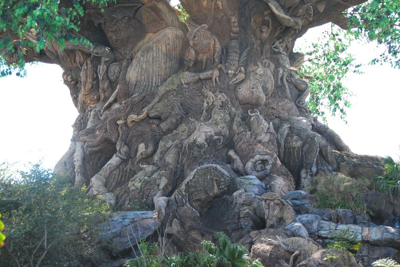 DisneyWorld022709-3148.jpg - Animal Kingdom - The Tree of Life