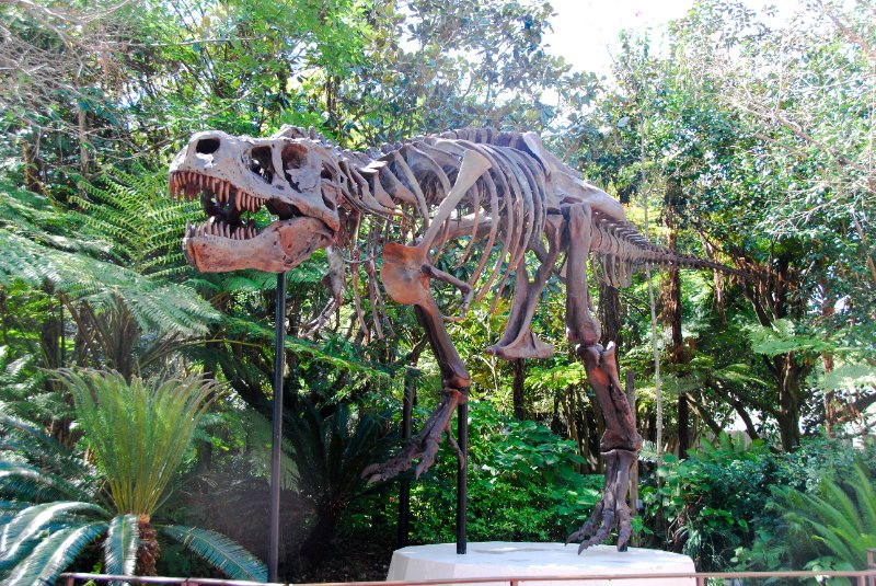 DisneyWorld022709-3287.jpg - Tyrannosaurus Rex - "Sue"