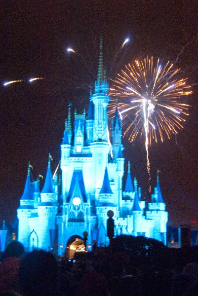DisneyWorld022709-3449.jpg - Magic Kingdom - "WISHES" Fireworks Show