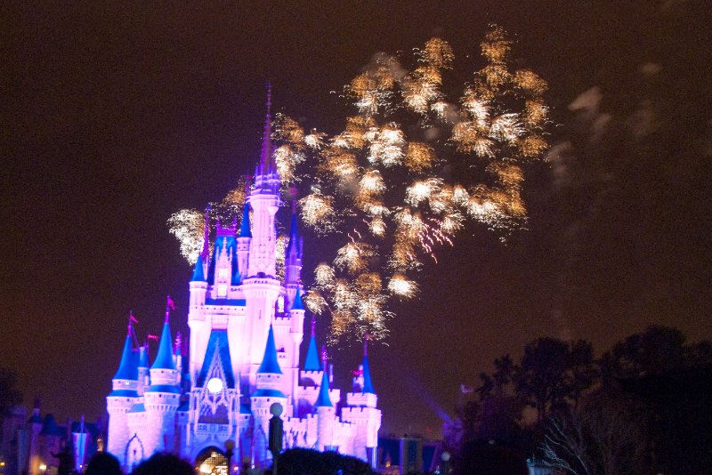 DisneyWorld022709-3457.jpg - Magic Kingdom - "WISHES" Fireworks Show