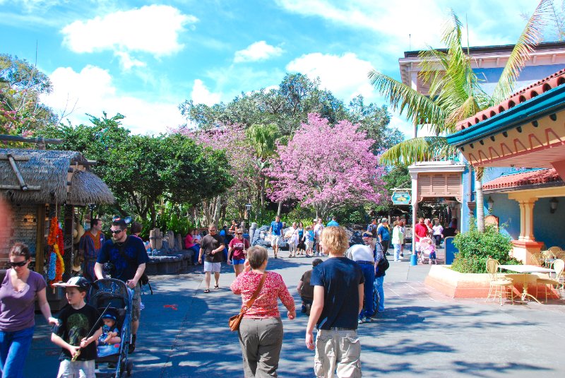 DisneyWorld022709-2907.jpg - Magic Kingdom - Walking to Adventureland
