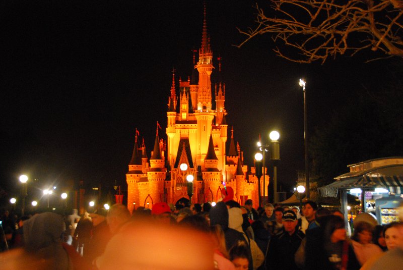DisneyWorld022709-3344.jpg - Magic Kingdom - Evening Parade and Fireworks
