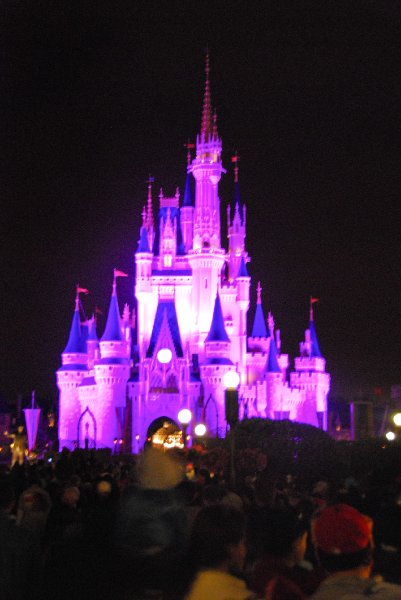 DisneyWorld022709-3432.jpg - Magic Kingdom - "WISHES" Fireworks Show