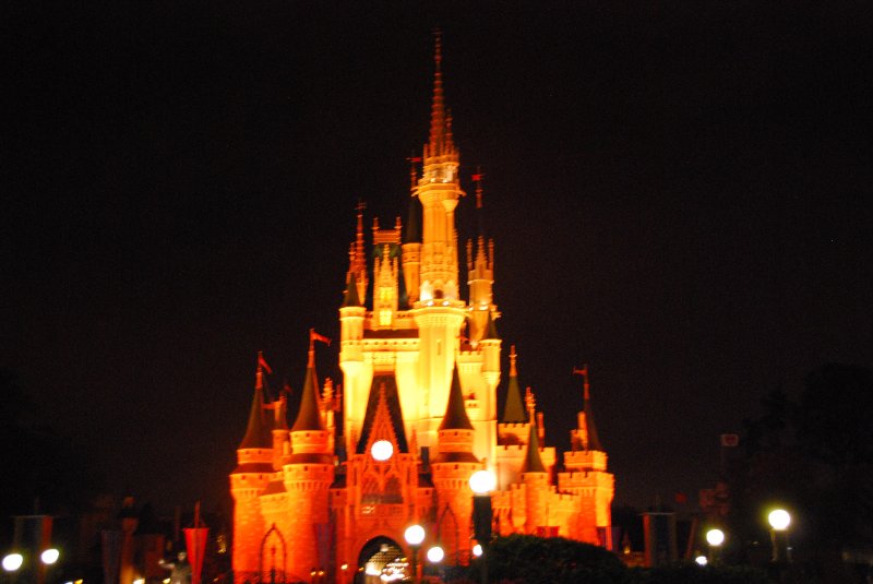 DisneyWorld022709-3433.jpg - Magic Kingdom - "WISHES" Fireworks Show