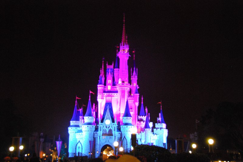 DisneyWorld022709-3435.jpg - Magic Kingdom - "WISHES" Fireworks Show