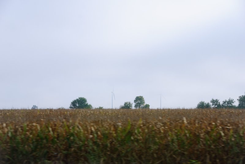 Purdue092609-9612.jpg - Windmill Farm. Driving North on I65, Leaving Lafayette, IN