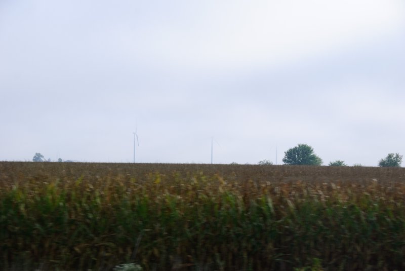 Purdue092609-9614.jpg - Windmill Farm. Driving North on I65, Leaving Lafayette, IN