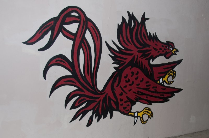 USC040409-4587.jpg - University of South Carolina Gamecock Logo