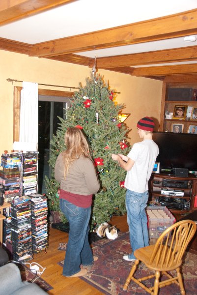DSC_0488.jpg - Decorating the Christmas Tree!!