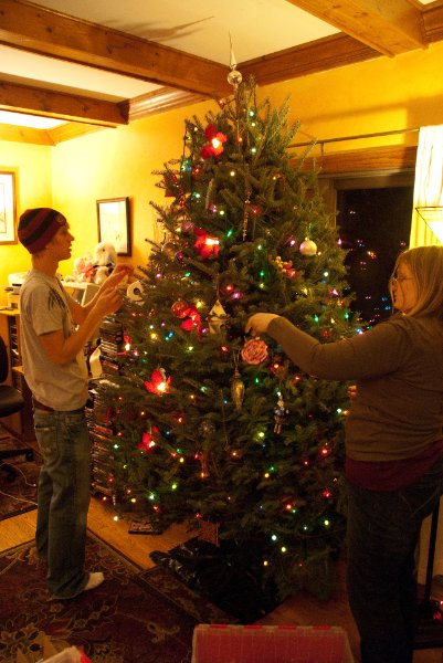 DSC_0493.jpg - Decorating the Christmas Tree!!