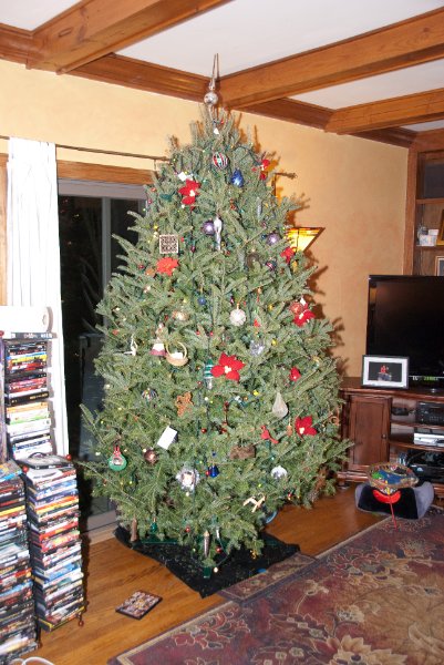 DSC_0496.jpg - Decorating the Christmas Tree!!