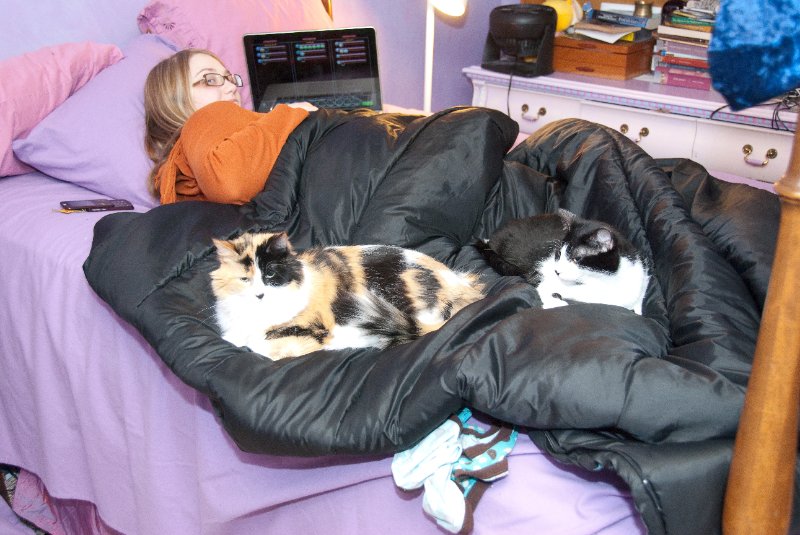 DSC_0505.jpg - Liz has Monster and Neko on her bed with her