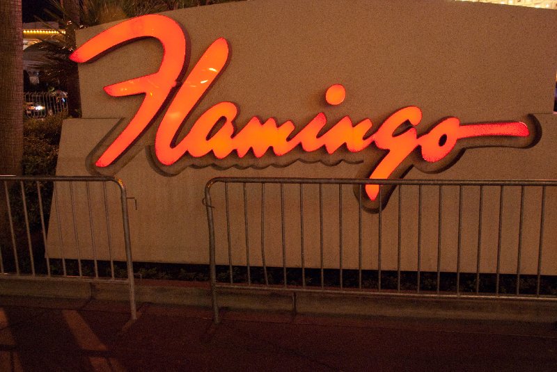 DSC_4462.jpg - Flamingo
