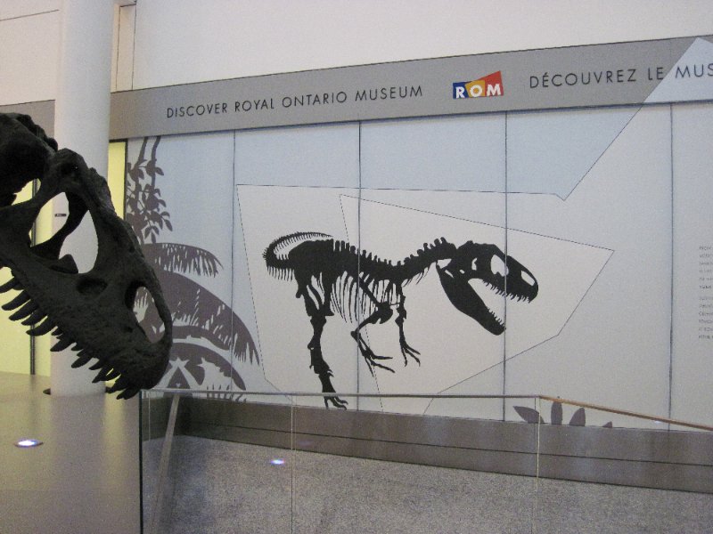 Toronto032810-0300.jpg - Dinosaur display from Royal Ontario Museum in Terminal 1 of Toronto Airport