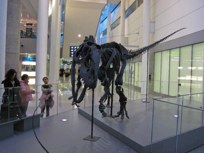 Toronto032810-0303.jpg - Allosaurus Dinosaur from Royal Ontario Museum in Terminal 1 of the Toronto airport