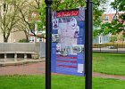Freedom Trail  Freedom Trail signed Viewed from Fayette Firefighters Memorial Park. Downtown Syracuse walk : 2017, Downtown walk, Fayette Park, NY, New York, Syracuse, Wedding, Şeyda and Dan