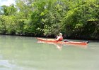 North Shore Channel  Kayak the North Shore Channel of the Chicago RIver : 2017, Chicago River, North Shore Channel