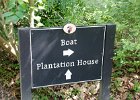 DSC 0931  Near Plantation House. Magnolia Plantation and Gardens : 2017, Charleston, Liane and Mike, Magnolia Plantation and Gardens, SC, South Carolina, Wedding