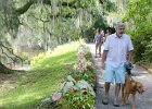 DSC 0932  Walking to Carriage House. Magnolia Plantation and Gardens : 2017, Charleston, Liane and Mike, Magnolia Plantation and Gardens, SC, South Carolina, Wedding