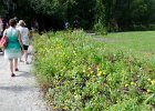 DSC 0935  Walking to Carriage House. Magnolia Plantation and Gardens : 2017, Charleston, Liane and Mike, Magnolia Plantation and Gardens, SC, South Carolina, Wedding