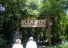 DSC 0995  Audubon Swamp Garden, Magnolia Plantation and Gardens : 2017, Audubon Swamp Garden, Charleston, Liane and Mike, Magnolia Plantation and Gardens, SC, South Carolina, Wedding