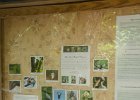 DSC 0997  Audubon Swamp Garden, Magnolia Plantation and Gardens : 2017, Audubon Swamp Garden, Charleston, Liane and Mike, Magnolia Plantation and Gardens, SC, South Carolina, Wedding