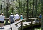 DSC 1006  Audubon Swamp Garden, Magnolia Plantation and Gardens : 2017, Audubon Swamp Garden, Charleston, Liane and Mike, Magnolia Plantation and Gardens, SC, South Carolina, Wedding