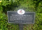 LianeMikeWeddingJuly2017-0837  Magnolia Plantation and Gardens : 2017, Charleston, Liane and Mike, Magnolia Plantation and Gardens, SC, South Carolina, Wedding