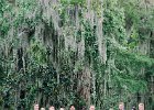 LianeMikeWeddingJuly2017-500  Wedding Party. Wedding Photos by CELIA G PHOTOGRAPHIE : 2017, CELIA G PHOTOGRAPHIE, Charleston, Liane and Mike, Magnolia Plantation and Gardens, SC, South Carolina, Wedding, Wedding Party